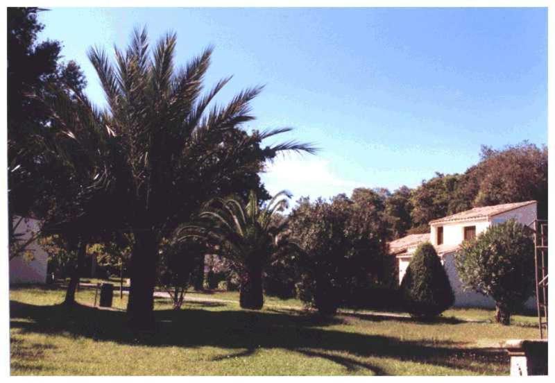 Domaine De L'Avidanella Apartment Santa-Lucia-di-Moriani Exterior photo